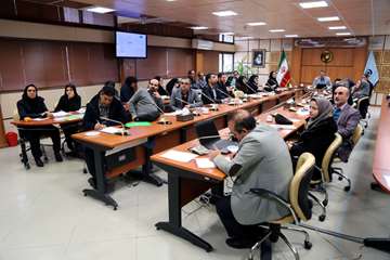 کارگاه آموزشی سامانه نوپا